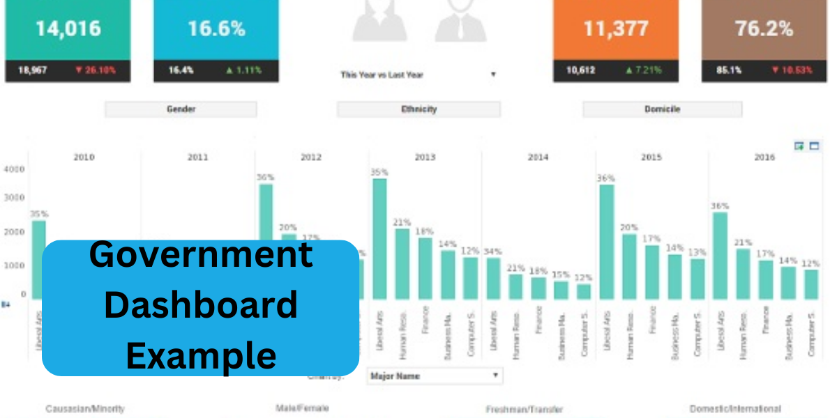 Government Dashboard Example