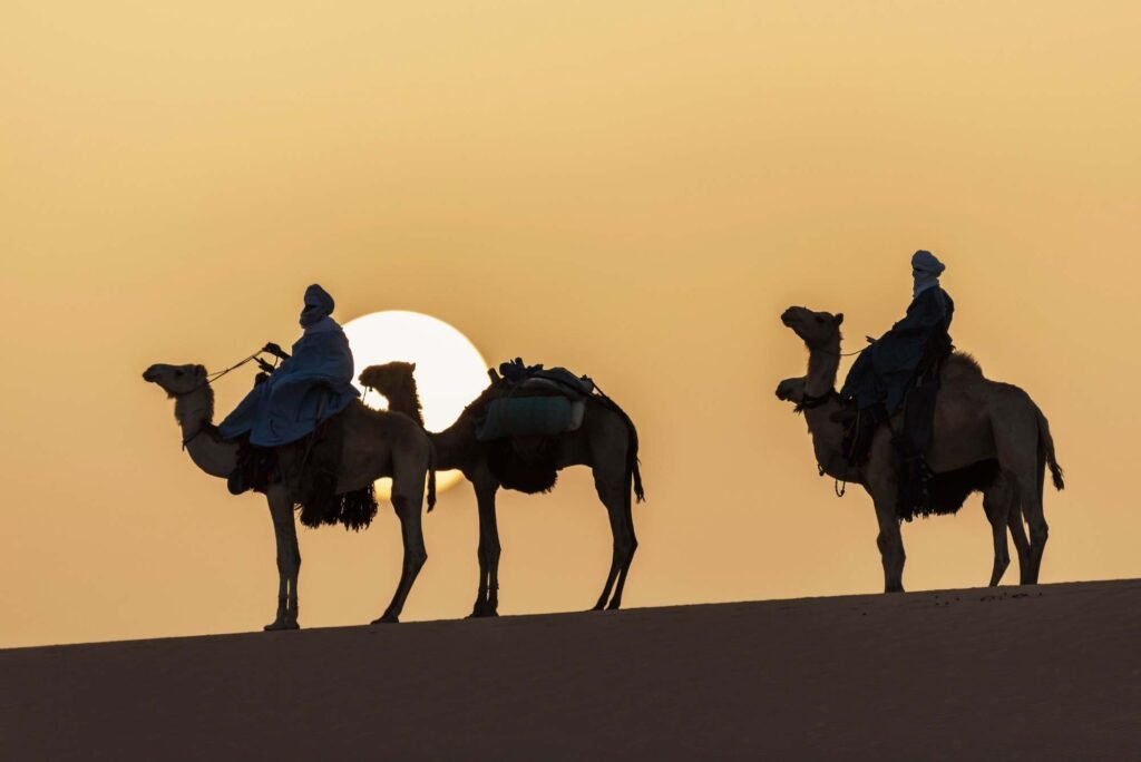 Sunrise vs. Sunset Camel Rides: Which One Offers the Best Experience?