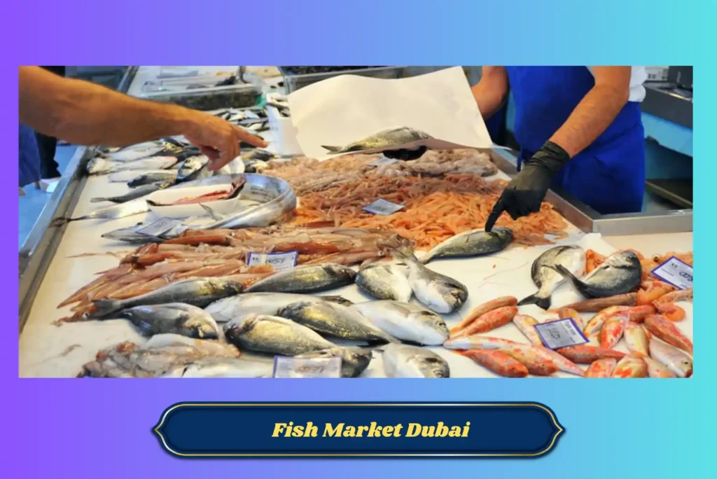 Top Fish Market Dubai Locations for Fresh Catch | How to Do