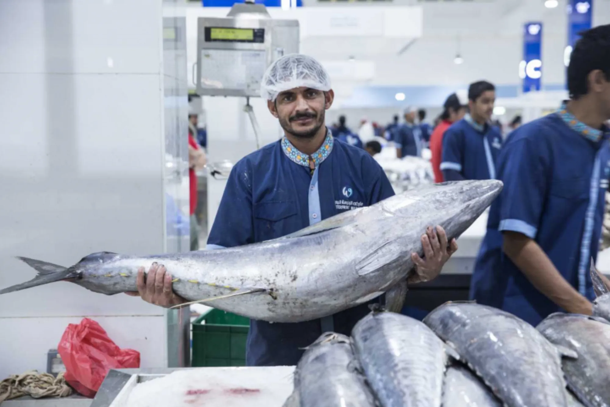 Best King Fish in Dubai 2025 | United Fish Dubai Guide