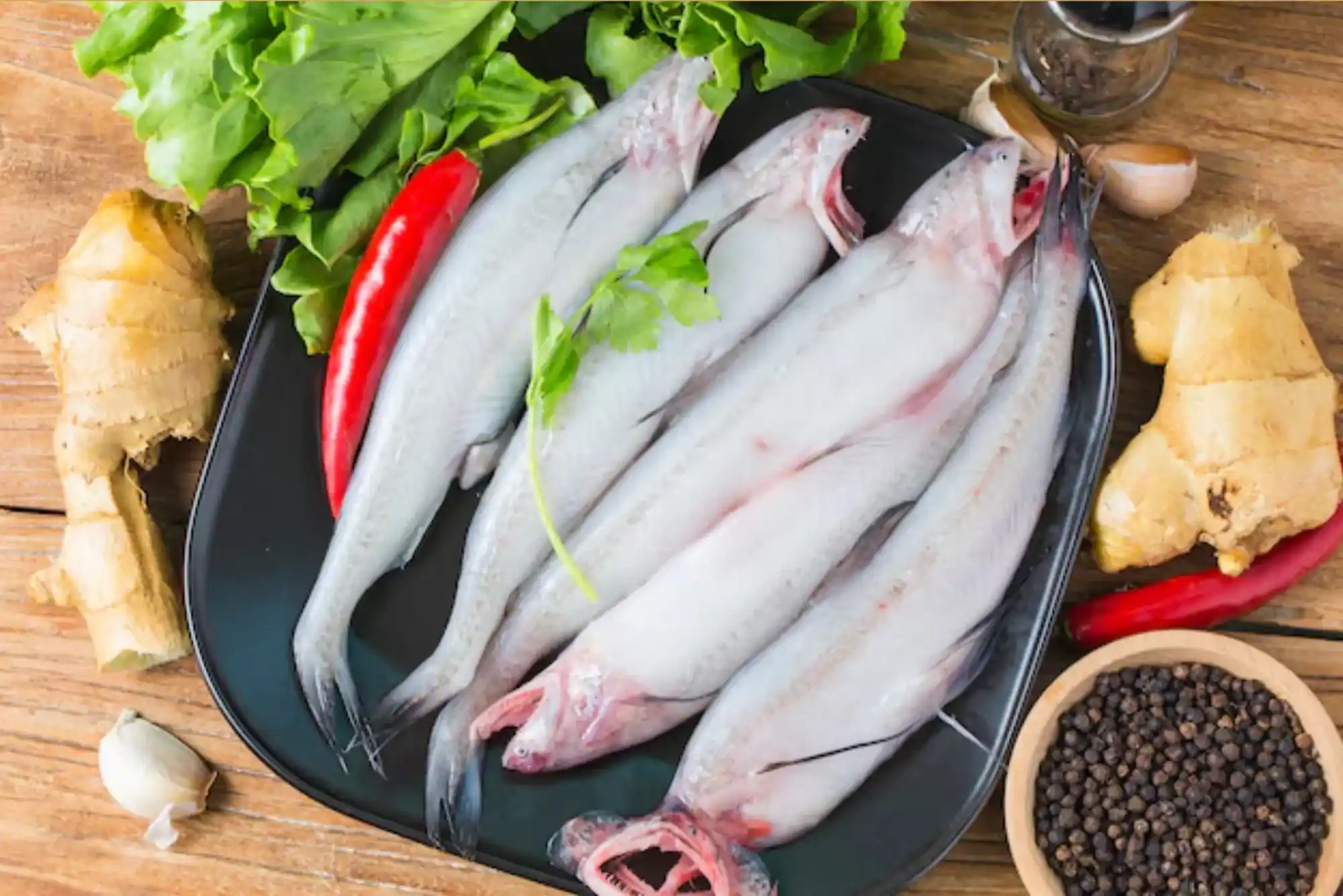 Buy Affordable Bombay Duch Fish in Dubai – Best Options